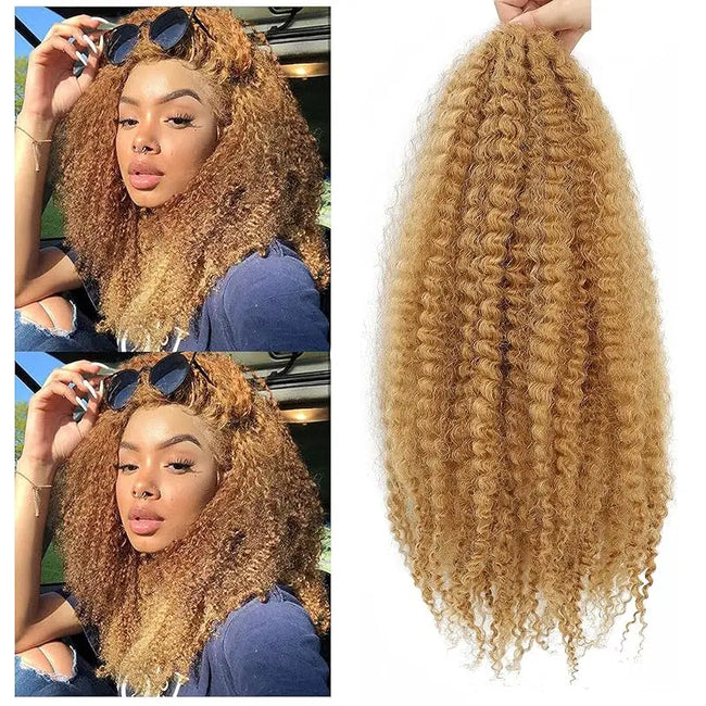 Marley Hair 50.8 cm Long African Curly Twist Synthetic Hair #2 Hair Marley Braids for Artificial Crochet Hair 3-Pack